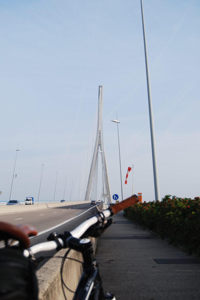 DSC_0098.JPG