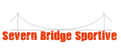 severn bridge  logo.png