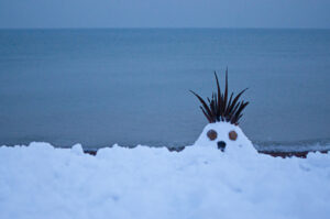 Brighton beach snow creature