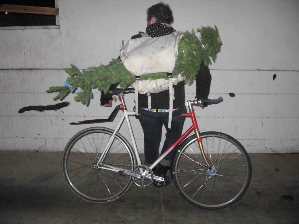 trees by bike.jpg