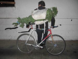 trees by bike.jpg