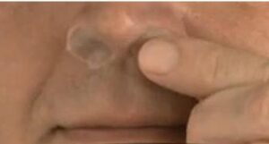 First Defense Nasal Screens product shot.jpg