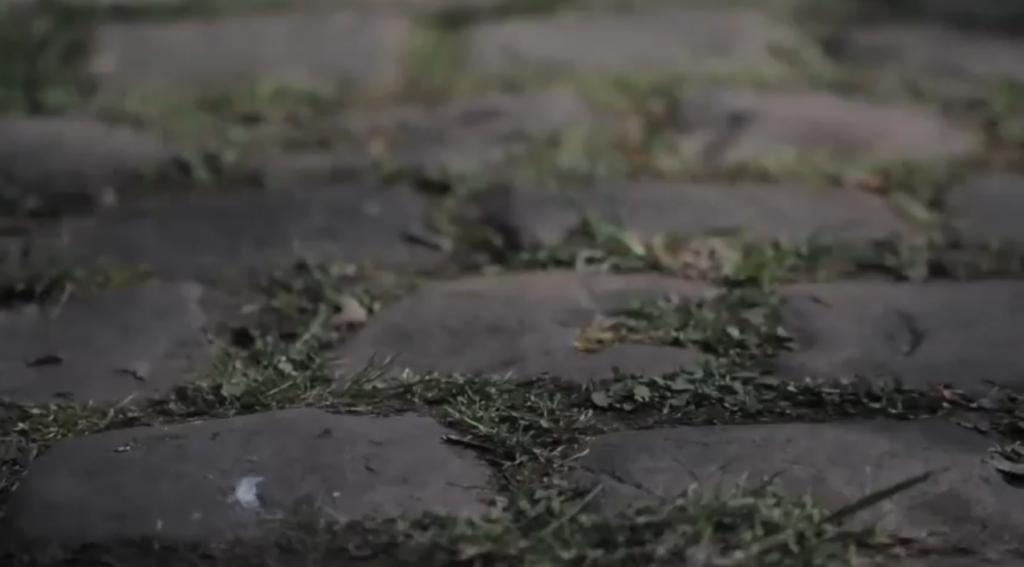 Mavic Paris Roubaix vid – cobbles