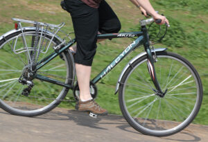 Halcyon Akita riding .jpg