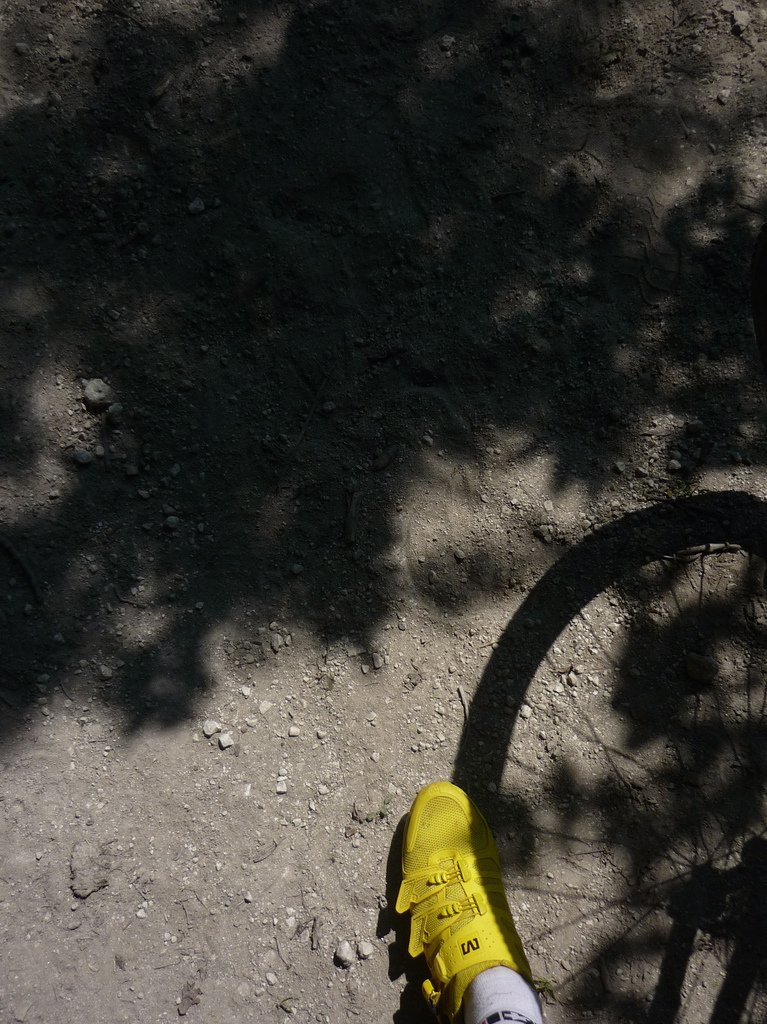 CrossShoe