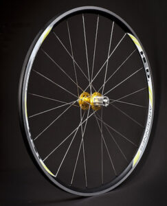 Chris King R45 Campag Wheel Rear Gold Hed