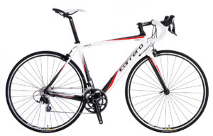 Carrera-2012-Virago
