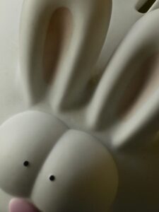 RideBunny