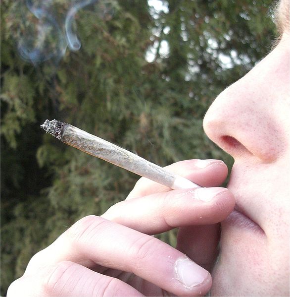 Joint (picture credit Chmee2:Wikimedia Commons).jpg
