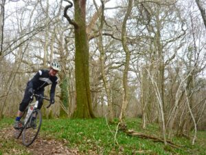 DunctonCXSportive-BluebellWoods