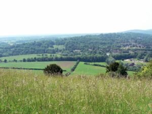 Box Hill, Surrey by lostajy.jpg