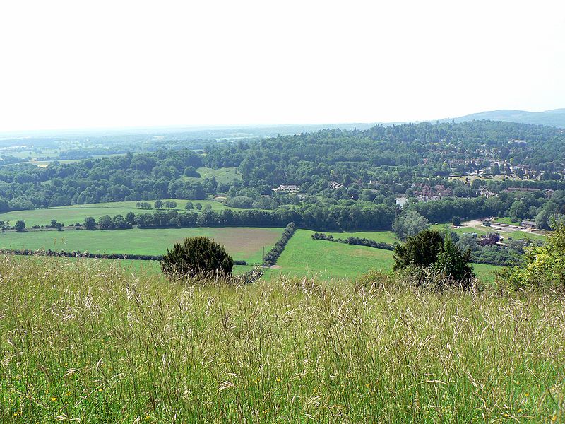 Box Hill, Surrey by lostajy.jpg