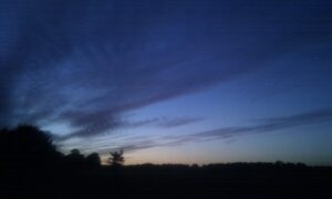 Evening ride