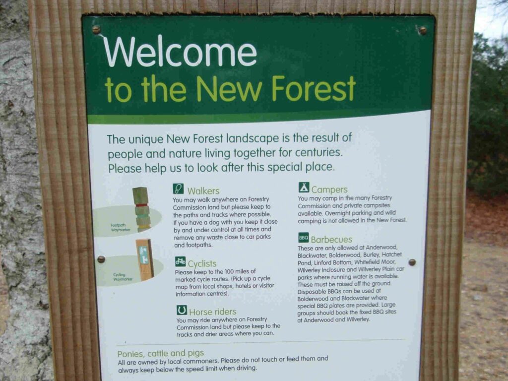 Welcome to the New Forest