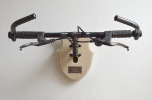 Bicycle Taxidermy Specialized-Diamondback