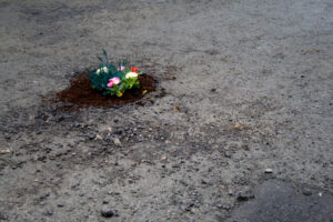 pothole_garden_04.jpg