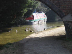 Oxford Canal (copyright Simon MacMichael)