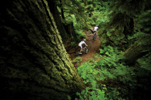 Mountain biking generic.jpg