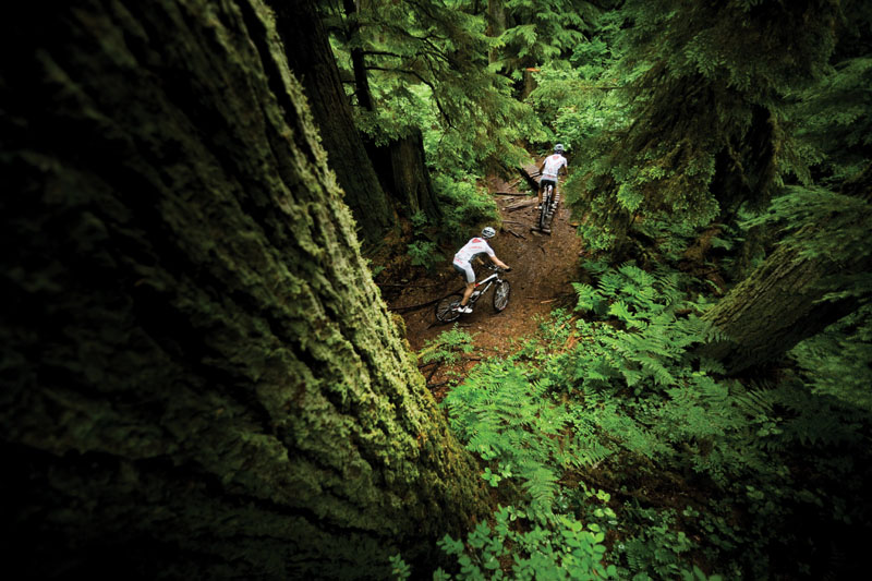 Mountain biking generic.jpg