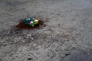 pothole_garden_04.jpg