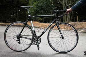 Stoemper Taylor first look