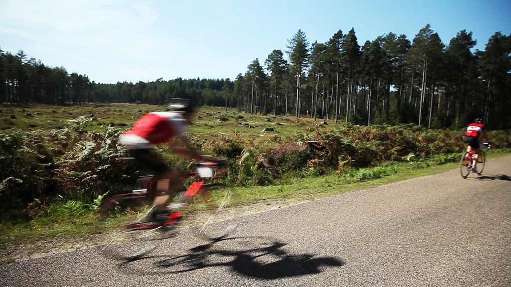 The New Forest makes for a lovely setting