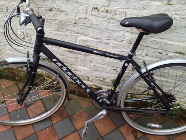 Krishnan Guru-Murthy’s Ridgeback Speed bike (picture courtesy Krishnan Guru-Murthy)