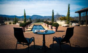 Hincapie Hotel Domestique