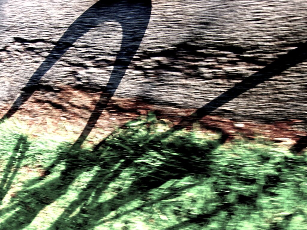 DarkShadow