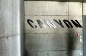Canyon visit (24)