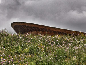 Olympic Velodrome and flowers (copyright Simon MacMichael)