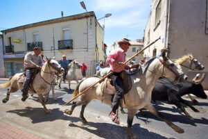 Camargue bull and gardiens (CC licensed by Yv)