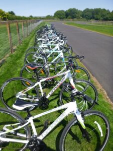 Odd Down stolen bikes