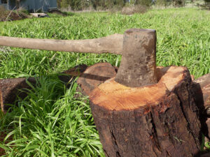Axe in Wood – pic by Brittglow on flikr.com