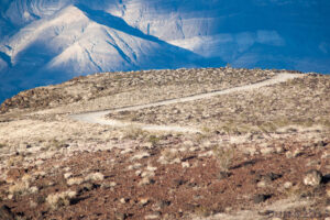 Death Valley (CC licensed by Dusk on Flickr)