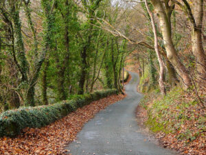 Long and winding road (CC licensed by Tim Green)