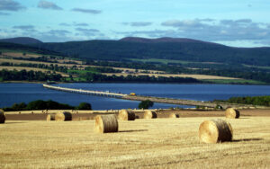 Cromarty Bridge on the A9 (CC licensed image by conner395:Flickr)