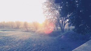 frost