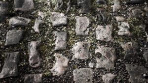 Arenberg (copyright Simon MacMichael)