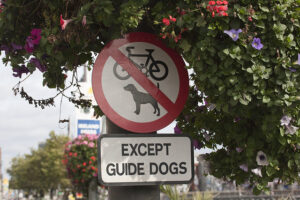 Except_Guide_Dogs_(licensed_by_William_Murphy_under_CC_BY-SA_2.0_on_Flickr)
