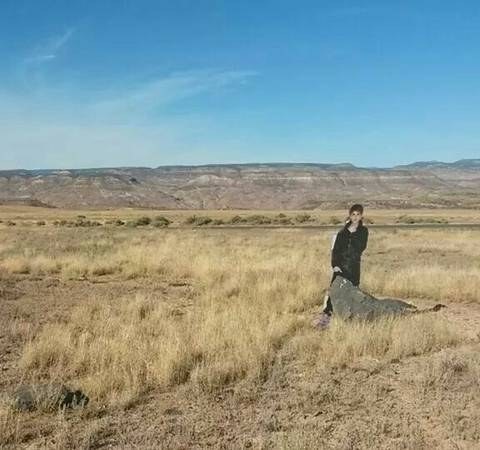 Justin Bieber cardboard cutout (source Westslope on Craigslist)