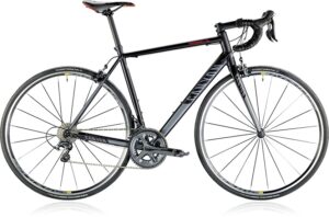 canyon endurace al.jpg
