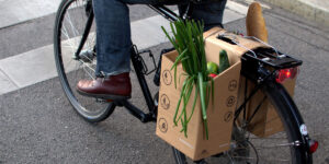 Packtasche cardboard pannier (picture source Packtasche)