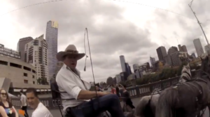 &lsquo;Dickhead&rsquo; horse drawn carriage operator.png