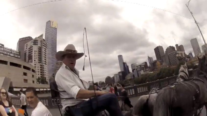 ‘Dickhead’ horse drawn carriage operator.png