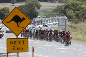 Kangaroo sign, Tour Down Under 2015 (picture credit Regallo)