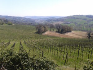 italy week day 22