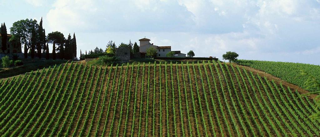 Chianti Classico vineyards (source RCS Sport)