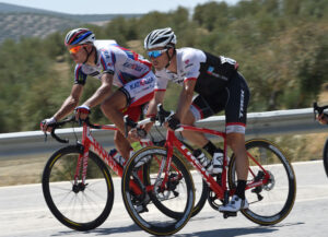 trek disc brakes