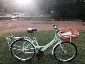 Elephant Bike 1